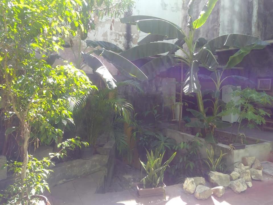 Fusion Guesthouse 萨尔瓦多 外观 照片